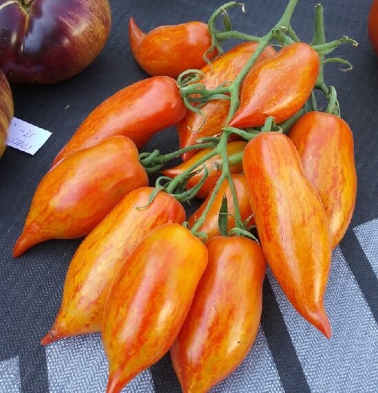 Розовый фламинго полосатый